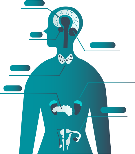 internal-medichine